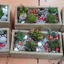 범일중학교 이미지