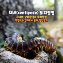 케이방역