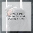 청춘보청기 이미지