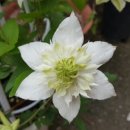 가람농원 이미지