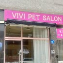 비비펫 살롱 이미지