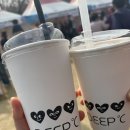 다솜몰 | 2026년 3월 일상 기록 2탄