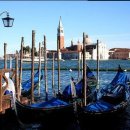 광장농장 이미지