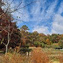 세봉농장 이미지