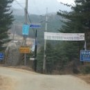 솔밭캠핑장 이미지