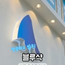 홈마트충효점