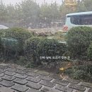 남양통닭인화점 | 재주는 신동준이 부리고 제주는 백진이가 간다