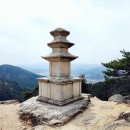 남산행정사사무소 이미지