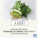파티마건강식품