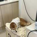 부흥로351번길 이미지