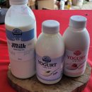 마루터목장 이미지