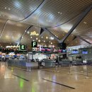 태풍카인테리어 | 베트남 나트랑 공항 픽업 택시보다 좋아 밤에 도착해도 든든