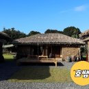 섬이라니,좋잖아요 이미지