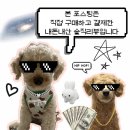 매봉산1길 | 평택 버터떡 맛집 댓댓쿠키 왜 유행하는지 직접 먹어본 후기