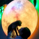 여수 도그펄슨 애견수영장펜션 이미지