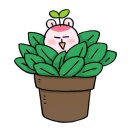 피자나라치킨공주홍천점 네이버블로그