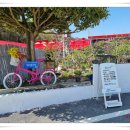 섬티아고 민박 이미지