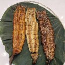 산골연잎장어 이미지