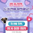 블루베어동물병원 이미지