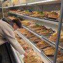 마라기행 이미지