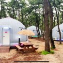 연곡해변관광지 이미지