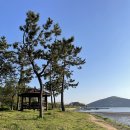 소죽도공원 이미지