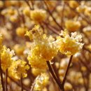 (주)연안약품 이미지