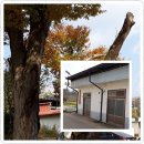 원산마을회관(경로당) 이미지