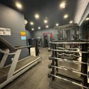 머슬원핏 시화점 이미지