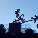 파밀리에 커피 앤 비어 이미지