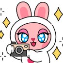 가교페이퍼