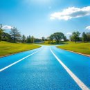 용인시종합운동장 | 2025 용인 러닝 루트 완전정복: 숨은 명품 코스와 운동장 트랙 가이드