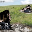 만평
