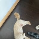 순덕민박 이미지