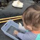 크린맨세탁 | [제주] 서귀포 법환 범섬이 한눈에! 아기와 함께 제주보름살기 숙소 / 리브애니웨어 감성숙소 후기