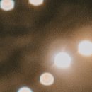 비체팰리스휴양콘도미니엄 이미지