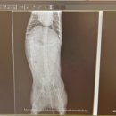 펫 파라다이스 동물병원 이미지