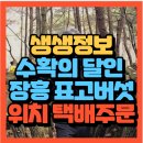 후계자 농원 | 생생정보 수확의 달인 자연을 품은 장흥 표고버섯 천시산농원 최경환 대표(+위치 택배주문방법)