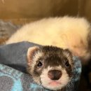 와우(양산점) 이미지