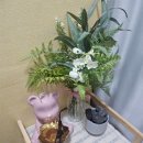 진천역계룡리슈빌 | 대구달서구 지친 피부에 주는 특별한 선물, '스파더비' 리얼 방문 후기 ✨