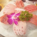 돌참치