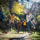 해남군-11 이미지