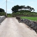 제주공감공인중개사사무소 이미지