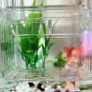 물속풍경수족관 이미지