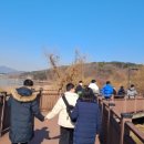 무민공원 이미지