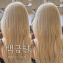 K-HAIR