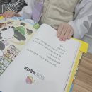 이제다판다 네이버블로그