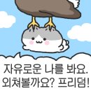춘이샵