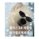 올리스24(세종점) 이미지