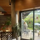 라플로레스타 이미지